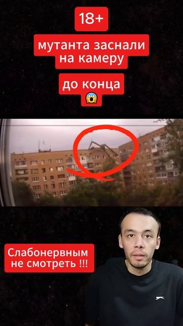 что ты такое