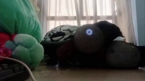 щекотка ног массажёрами