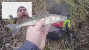 6 декабря. Москва-река. Сегодня с клыкастым