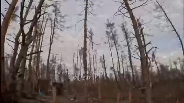 Атмосферы вам