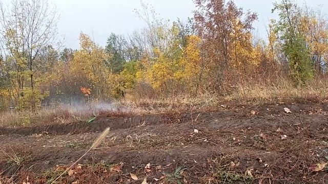 Саперы из международного центра ведут разминирование в Белгородской области. смотреть онлайн