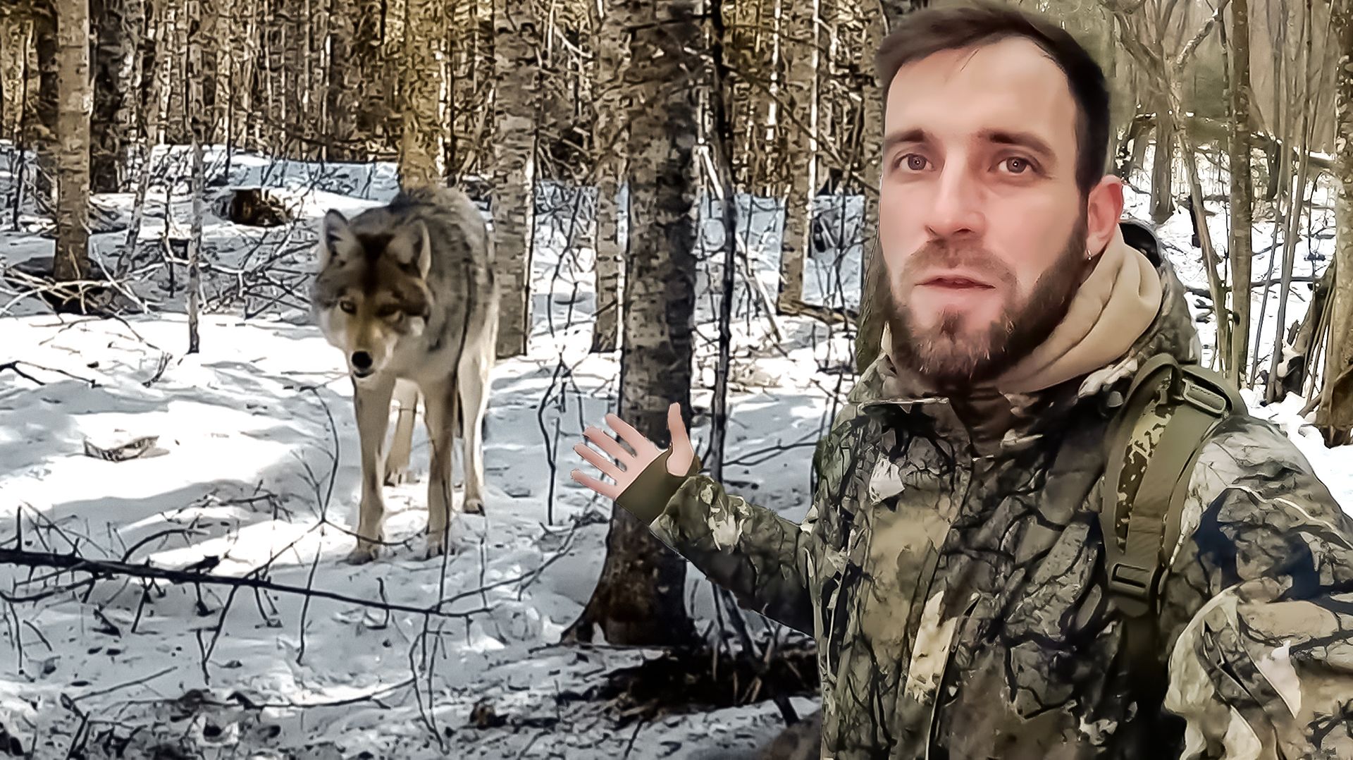 Животные в мире людей: зачем мы вмешиваемся в жизнь дикой природы | Все как у людей