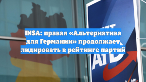 INSA: правая «Альтернатива для Германии» продолжает лидировать в рейтинге партий