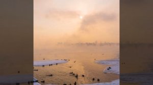 зима началась