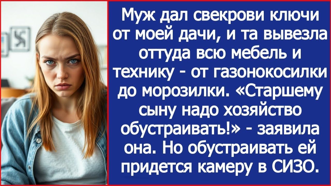 Свекровь вывезла с моей дачи всю мебель и технику | ИСТОРИИ ИЗ ЖИЗНИ | АУДИО РАССКАЗЫ