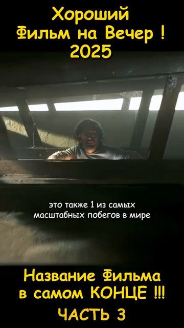 Хороший фильм на вечер !