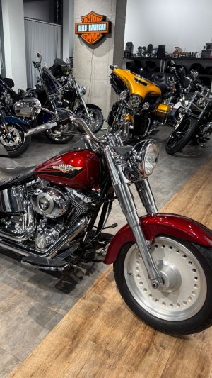 2009 Fat Boy Red Hot Sunglo