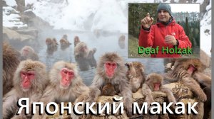 Deaf Holzak Японский макак
