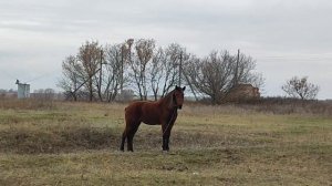 новогоднее настроение в зоне СВО