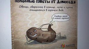 Дневник  Домоседа - высокопарные слова ,но пустые ...