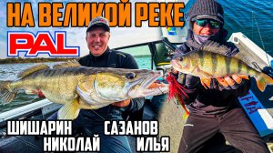 Судак за ДЕСЯТЬ КГ, Окунь на МЫШЬ, Сильнейшее ТЕЧЕНИЕ Волги – секреты тренировок к PAL