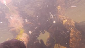 Летний драйв под водой. 20.09.2025. С субтитрами.