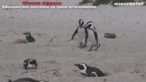 Новости Сегодня 06.12.2025 - Цунами Европа, Москва Ураган, Украина, Катаклизмы США