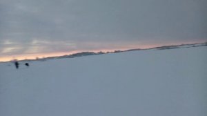 Первые окуня сезона 2025-2026