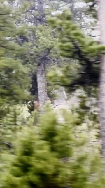 что ты такое