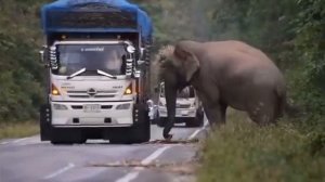 Видео от HackAvto – Лайфхаки и фишки для авто