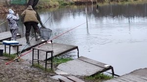 Светлые Горы Форель5 06.12.2025г.