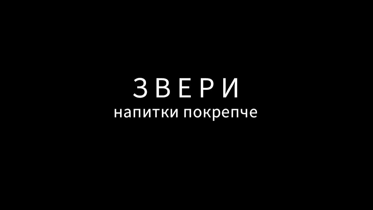 Звери - Напитки покрепче (кавер)