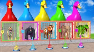 Веселые игры с слоном, гориллой, бегемотом, тигром - 3D игра с животными - Забавные 3D животные