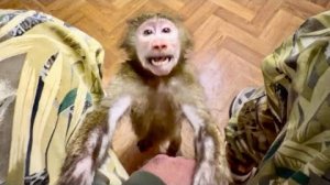 Анфиса стала ТАКОЙ БОЛТУНЬЕЙ, она рассказывает Денису обо всем!))