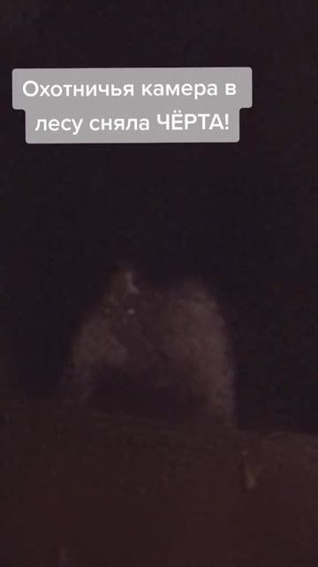 что ты такое