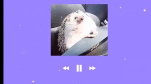 ~• Музыка Для Уборки •~