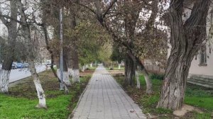 Керчь. Ул. Орджоникидзе, от Мира до парка  06.12.25