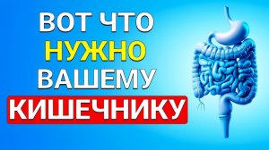 Лучшие ПРОДКТЫ для Здоровья КИШЕЧНИКА