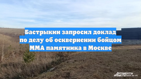 Бастрыкин запросил доклад по делу об осквернении бойцом ММА памятника в Москве