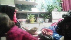 Алиска киска