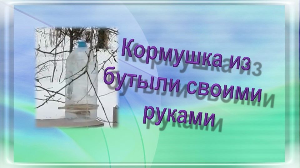 Кормушка из бутыли своими руками