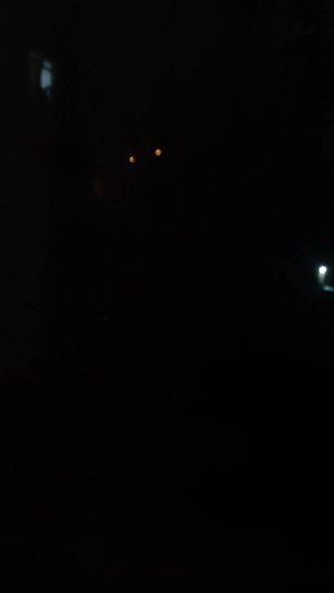 вид из окна