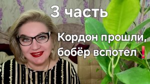 Кордон прошли❗️Бобёр вспотел❗️