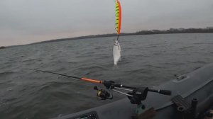 Осень 2025! (19) - Зима не торопится (2)!