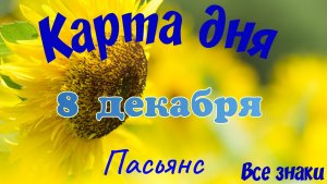 Карта дня❄8 декабря🎄☃️Пасьянс. Тайм-код в описании🦢