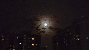 06-12-2025 Подарок детям // Нужен ваш совет // Что, если он не платит алименты ?