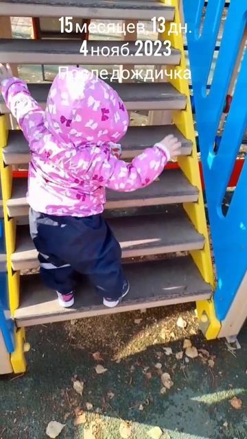 15 мес.,13 дн.После дождичка.(4 нояб.2023).mp4