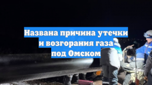 Названа причина утечки и возгорания газа под Омском