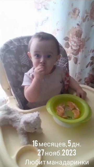 16 мес.,5 дн.Любит мандаринки.(27 нояб.2023).mp4