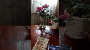 Таро.Кто хочет вмешаться в вашу жизнь.