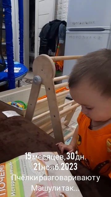 15 мес.,30дн.Пчёлки разговариват у Машульки так...(21 нояб.2023).mp4