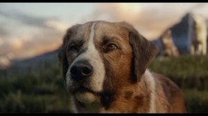 back - это легенда.           (название фильма зов предков)