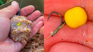 Рыбалка на карася на пружину и флэт фидер