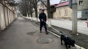 ОДЕССА 6 ДЕКАБРЯ 2025. ГДЕ ПОДОЗРЕНИЕ ЕРМАКУ_ ШВЕЦИЯ - ПОМОЩЬ УКРАИНЕ ВМЕСТО ЗИМБАБВЕ. МУРЧАЩАЯ АННА