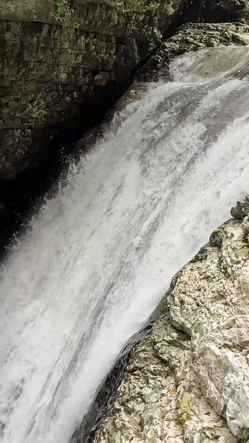 ГЕОГРАФИЯ ПУТЕШЕСТВИЙ Абхазия