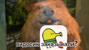 Играю в дудл Джамп.