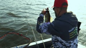 МЫ НА ПЬЕДЕСТАЛЕ / ВОЛЖСКАЯ ЗАРУБА 2025