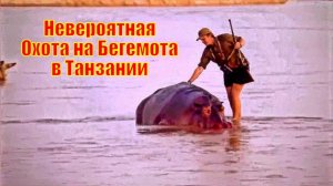 Невероятная Охота на Бегемота в Танзании