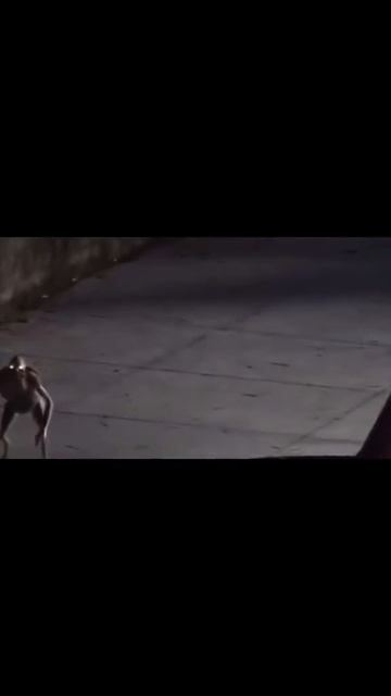 что ты такое