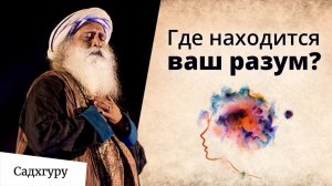 Вы думаете что разум находится в голове?